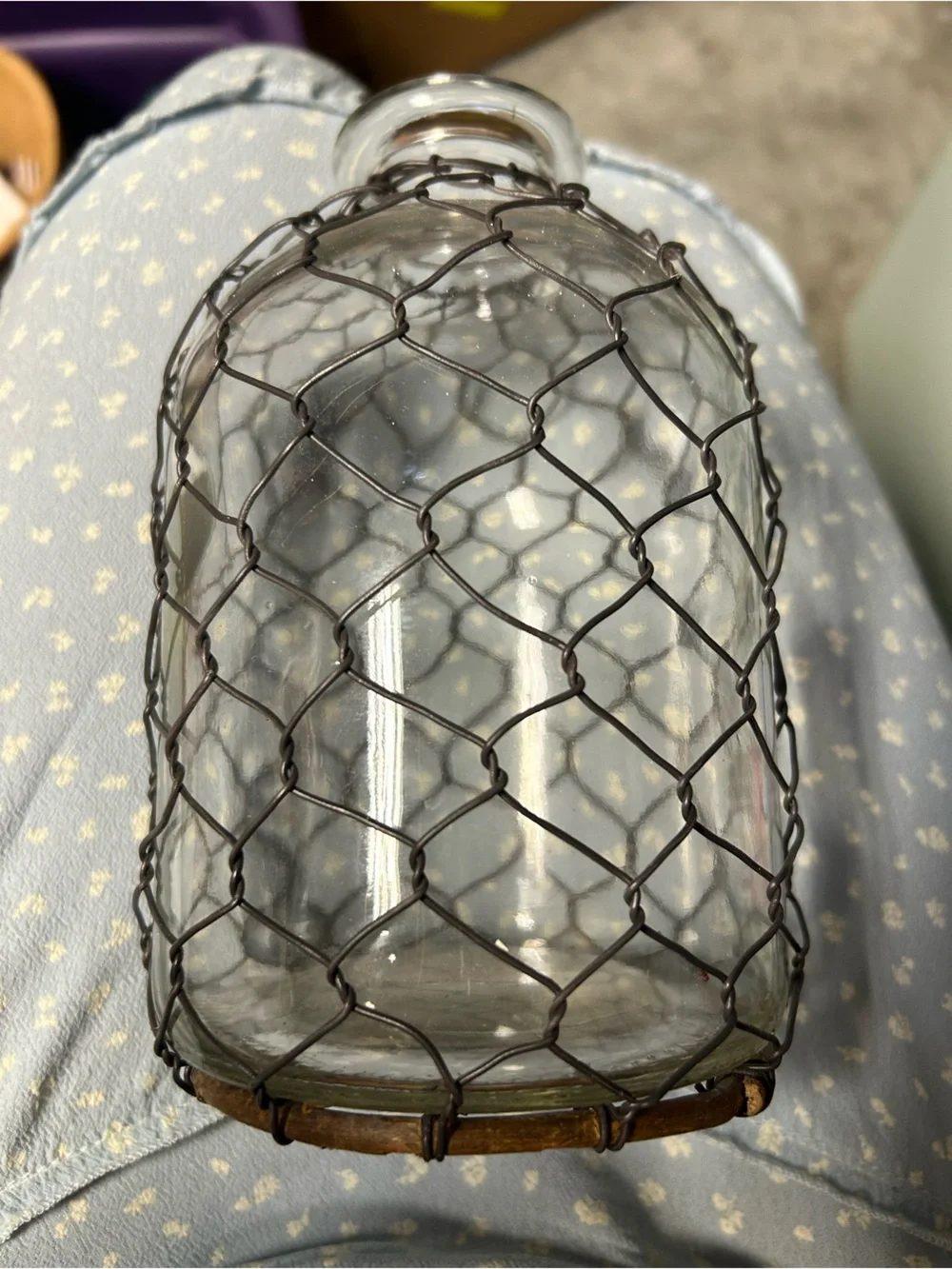 Wire Mesh Bottle Vase Glass Clear Black Wire Rustic Round